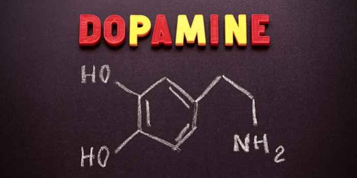 dopamine benefits