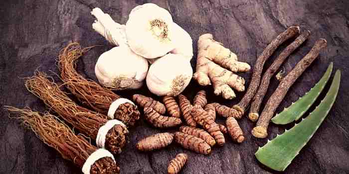 adaptogens are great for health